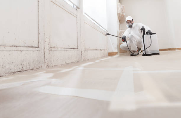 24/7 Emergency Basement Mold Removal experts in Oakland, FL
